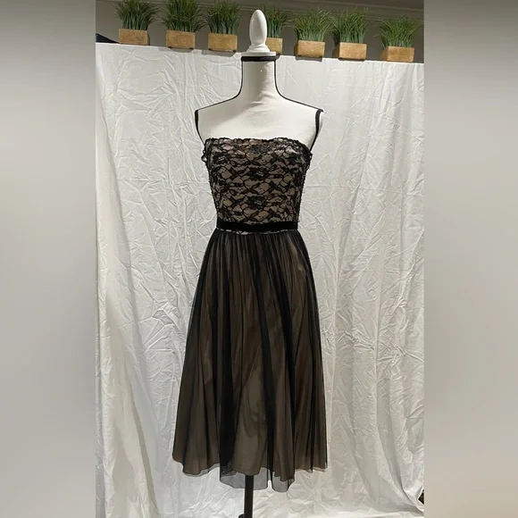 JS Boutique | Dresses | Js Boutique Black And Beige Strapless Lace And Velvet Belt Size 8 | Poshmark JS Boutique | Dresses | Js Boutique Black And Beige Strapless Lace And Velvet Belt Size 8 | Poshmark